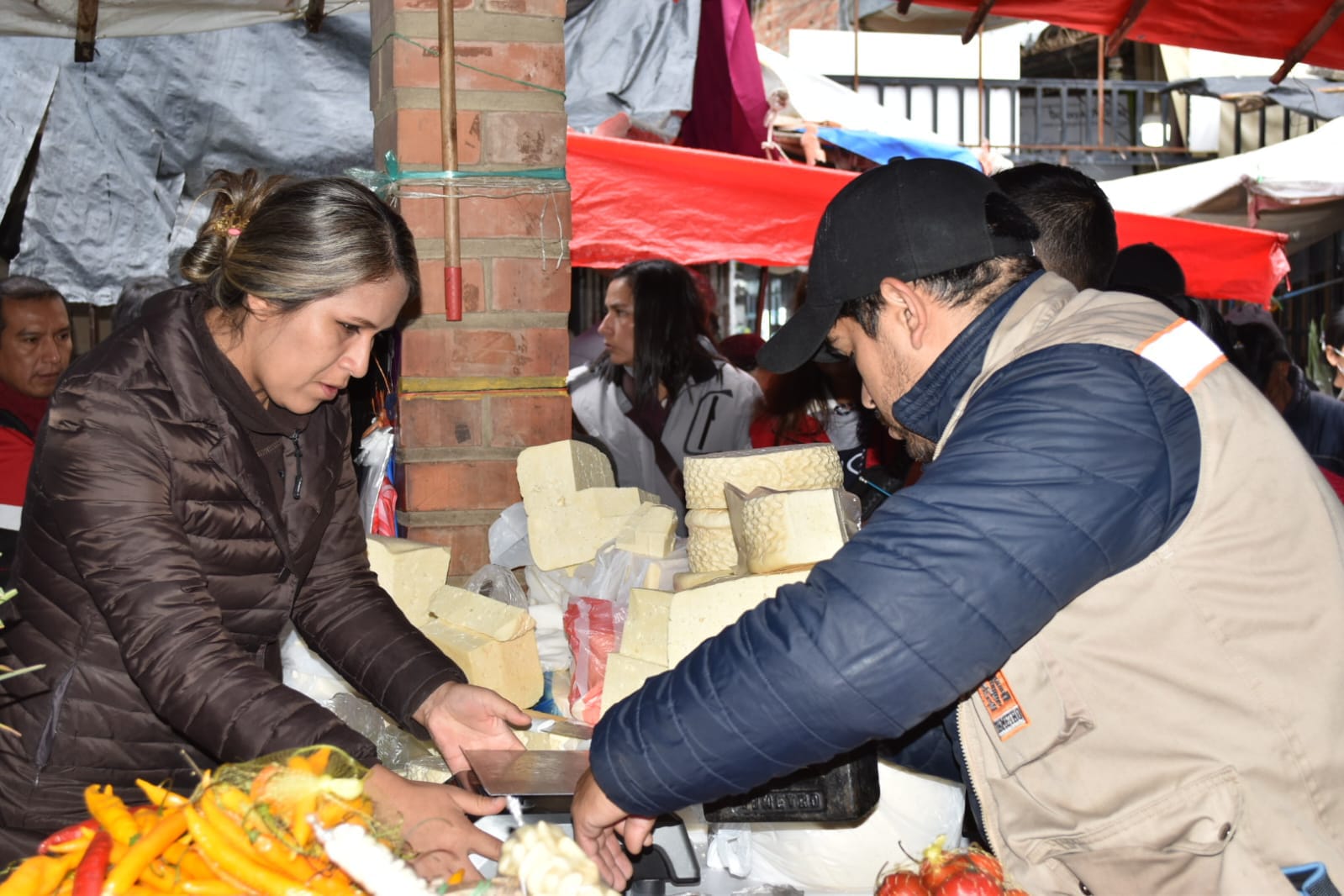 Imagen de la campaña