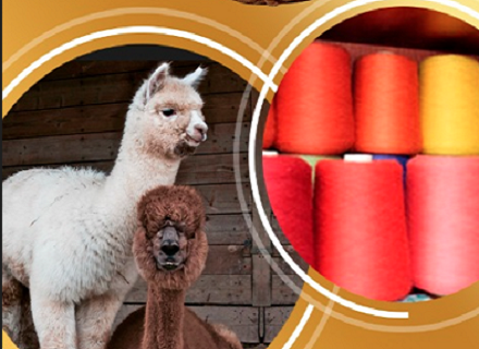 hilo de alpaca